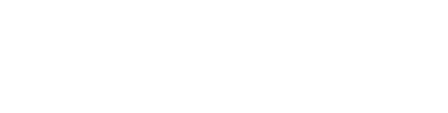 DigiPara